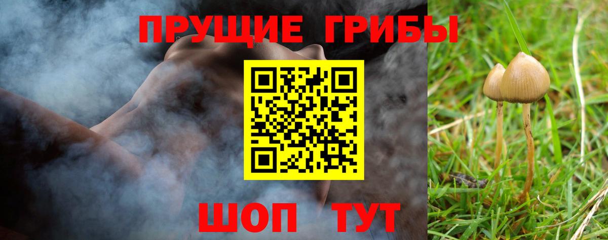 Фрязино  Псилоцибиновые грибы Psilocybe  Вход с VPN  Псилоцибиновые грибы мухоморы 