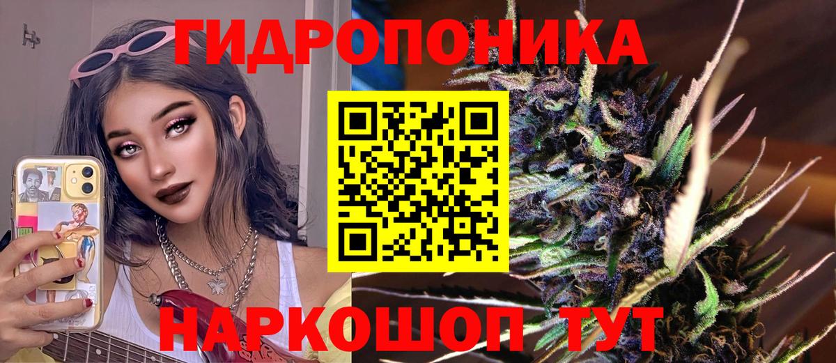 Конопля семена Фрязино